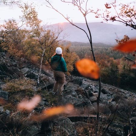 Penzion U Vyhlídky Chřibská Exterior foto
